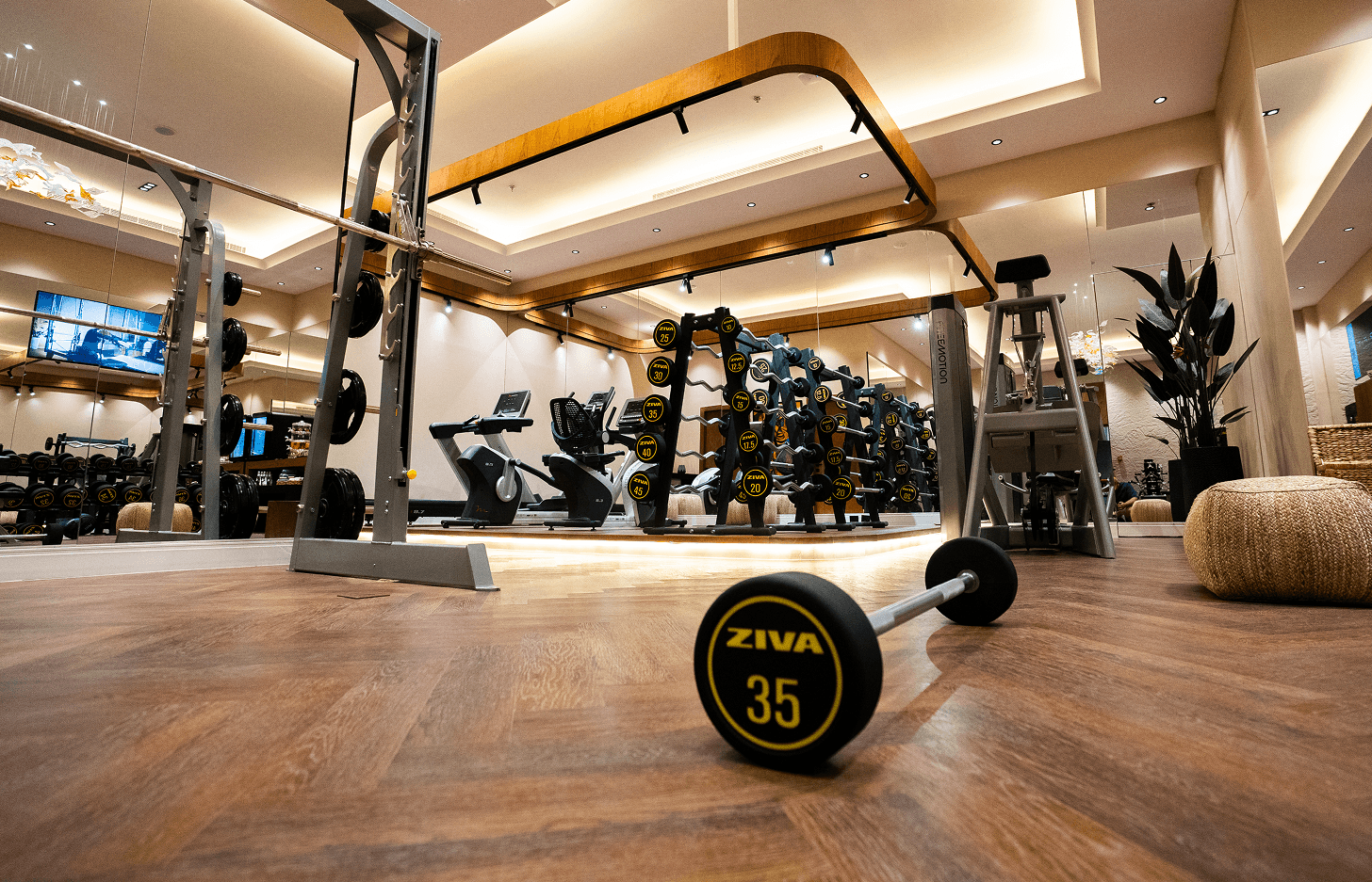 PriFit contact background