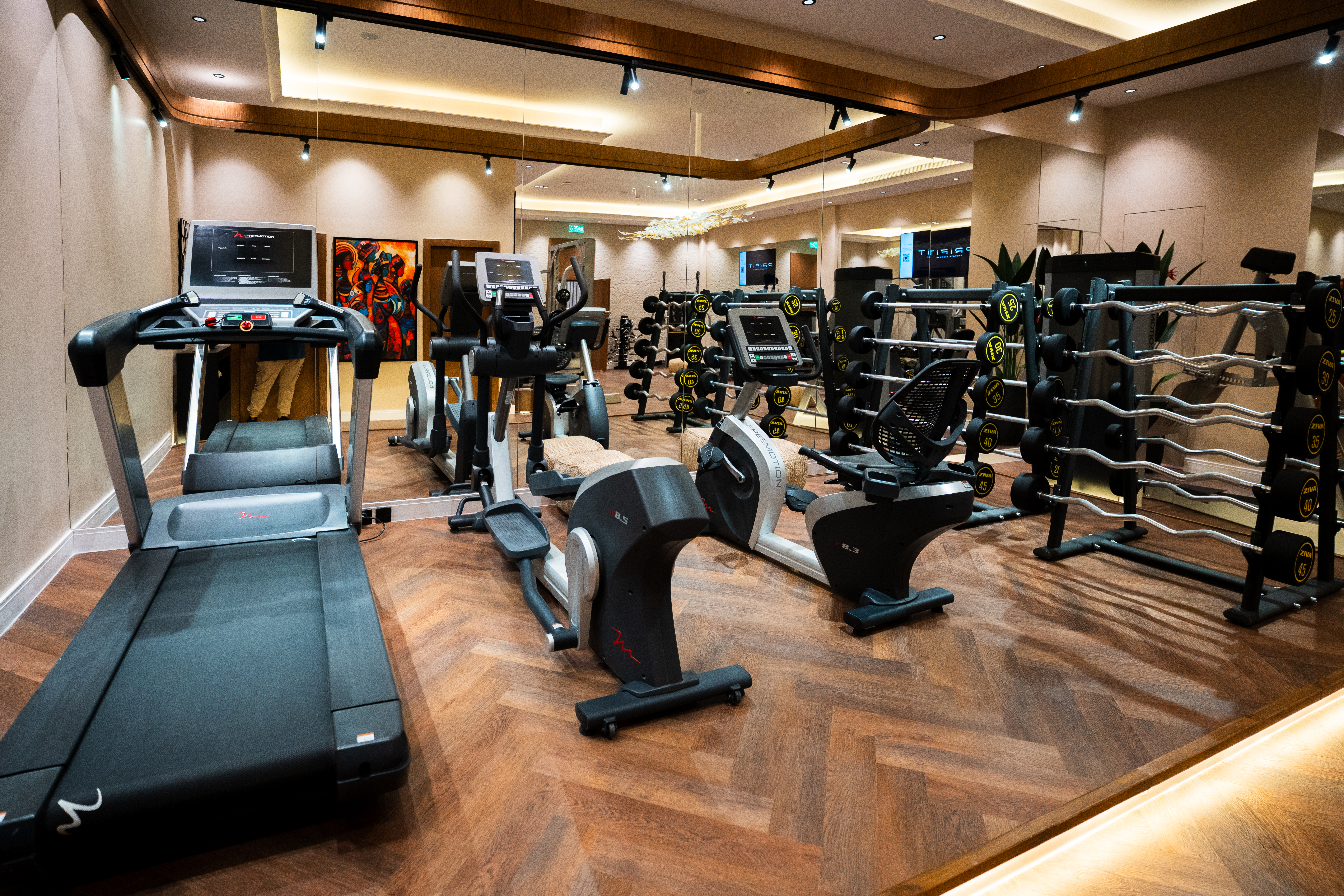 Fitness Journey